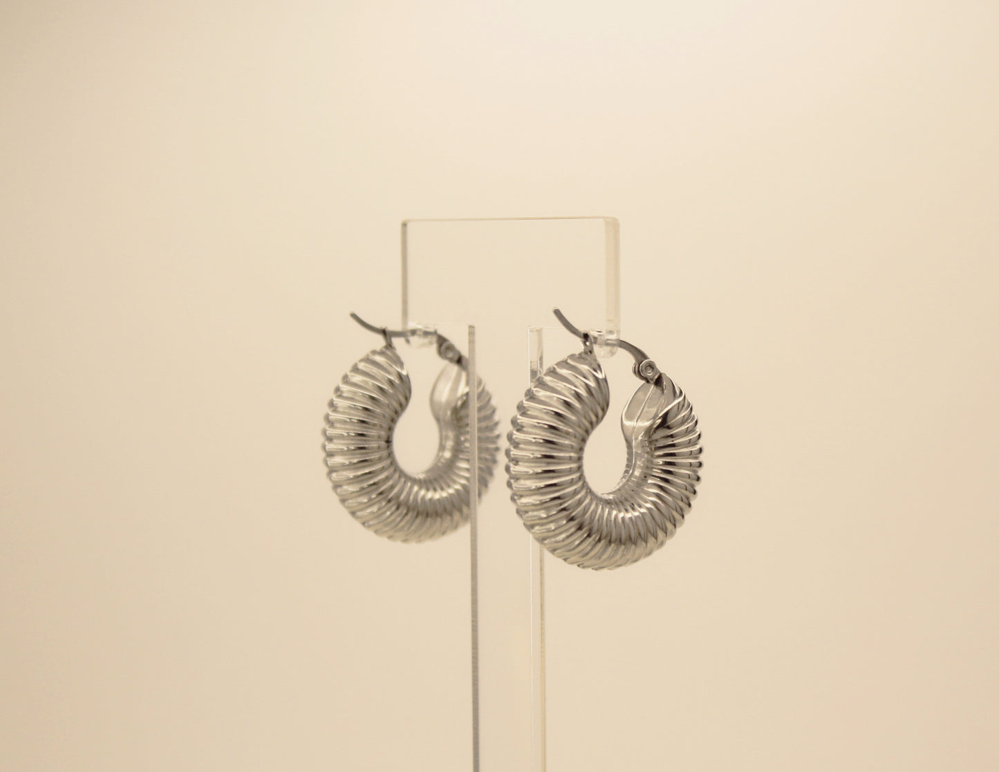 Chunky Earrings