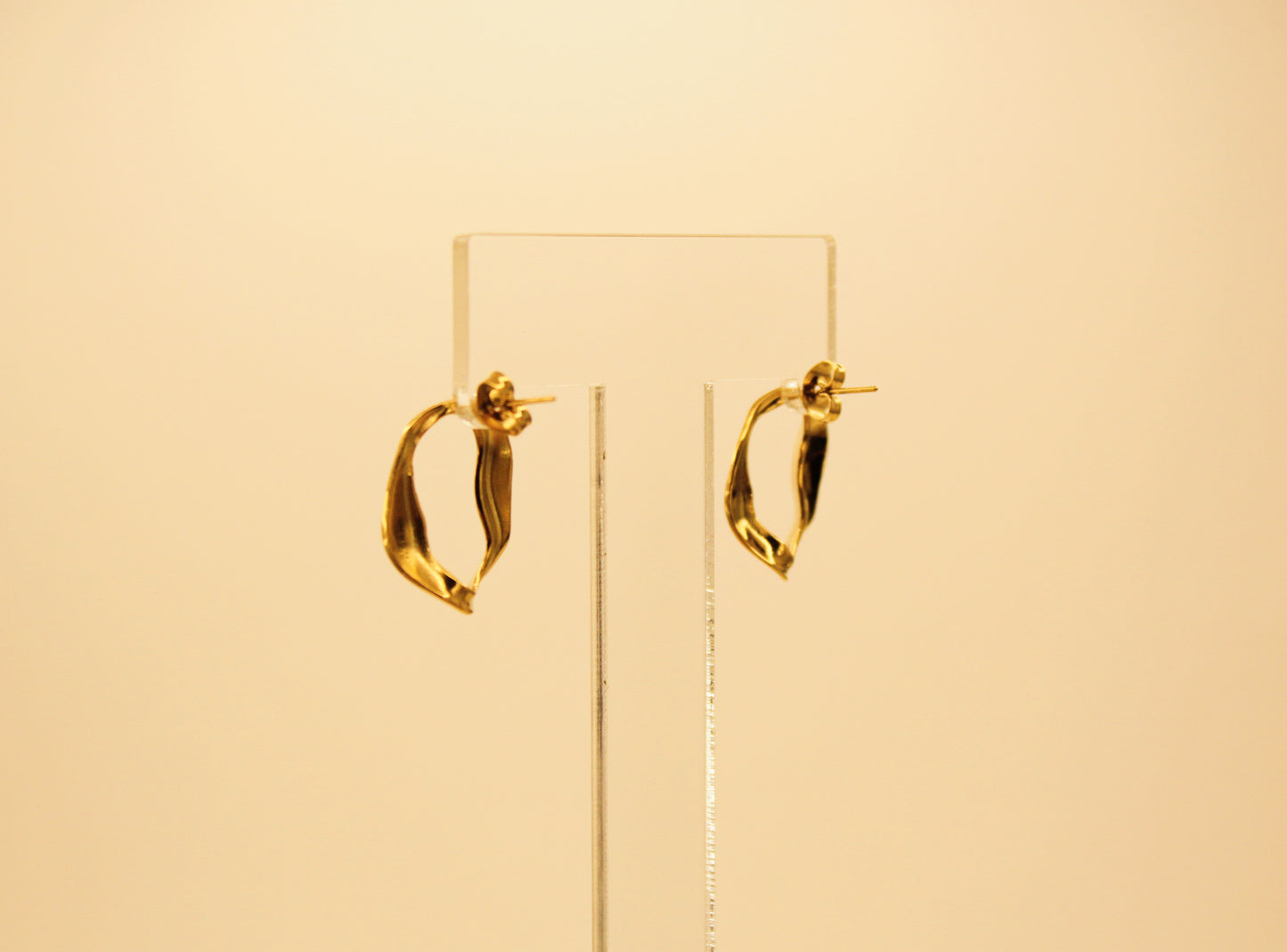 Round Hollow Earrings