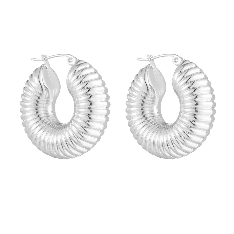 Chunky Earrings Silver