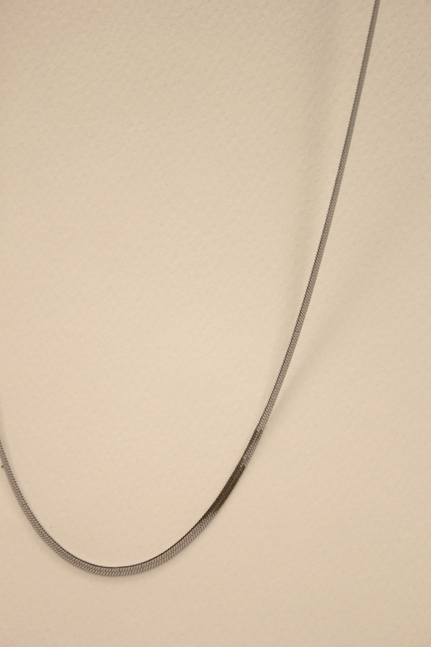 Snake Ribbon Necklace in Silver