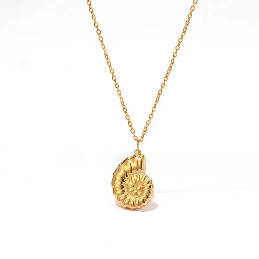 Seashell Necklace